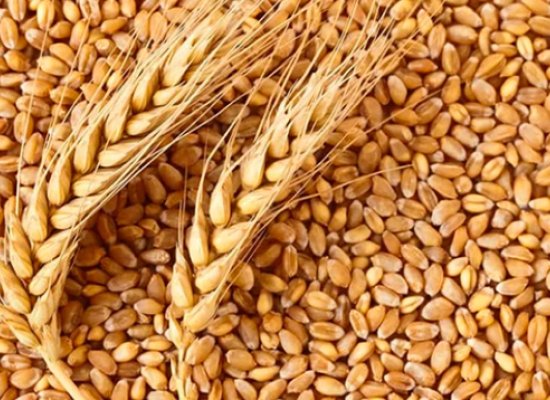 Armenia expects new grain deliveries via Azerbaijan