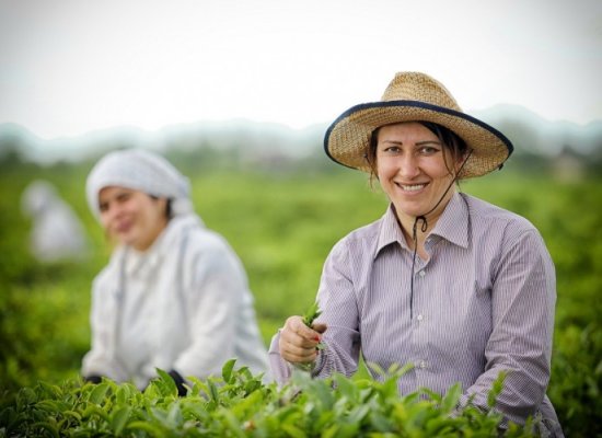 Deputat: Fermerlər üçün uzunmüddətli və aşağıfaizli kreditlər qanunla tənzimlənməlidir