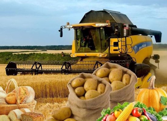 Azərbaycan kənd təsərrüfatı xərclərini 2 %-ə yaxın artırıb