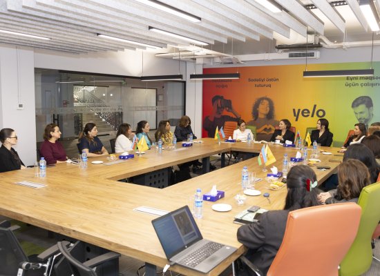 Networking meeting organized at Yelo Bank for female entrepreneurs in the healthcare sector