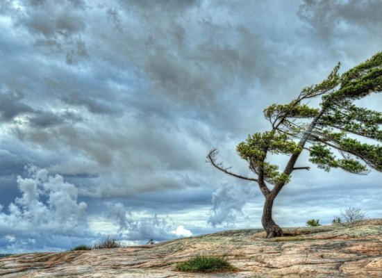 В Баку ожидается сильный ветер