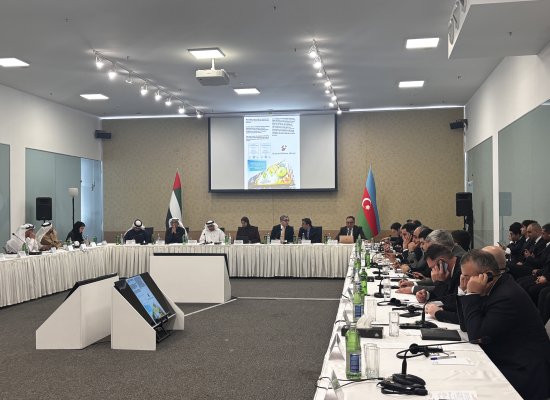 Azərbaycan yeni bazarlara ixracda logistika xərclərinə subsidiya tətbiq edəcək