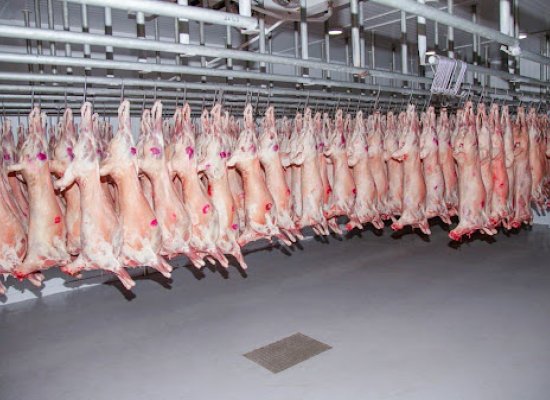 Азербайджан увеличил импорт монгольской баранины