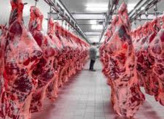 Azerbaijan reports slight rise in agricultural output in January 2026