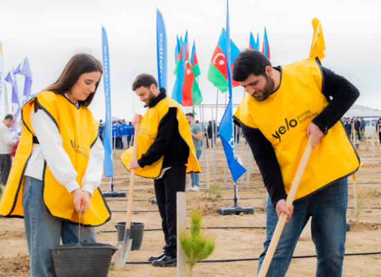 Yelo Bank-dan 1 milyon ağac hədəfinə parlaq dəstək!