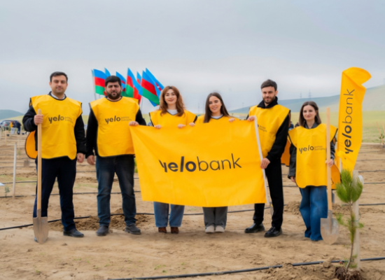 
Yelo Bank поддерживает цель в 1 000 000 деревьев!