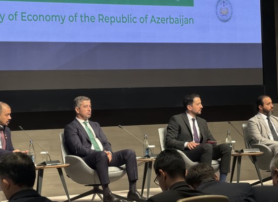 İİB Qrupu Qarabağda suvarma və kənd təsərrüfatı layihələrini dəstəkləyə bilər