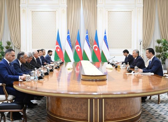 Əli Əsədov Özbəkistan Prezidenti ilə görüşüb