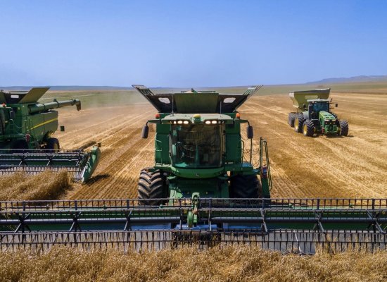 Azerbaijan sets wheat procurement price for 2026