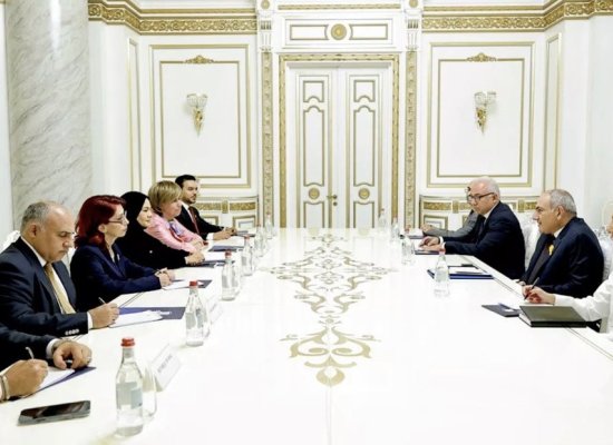 Пашинян обсудил с послами арабских стран мирный процесс с Азербайджаном
