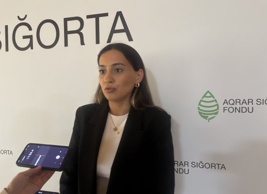 Fermerlərə 29 milyon manat sığorta ödənişi nəzərdə tutulub &ndash; 23,7 milyon manat artıq ödənilib