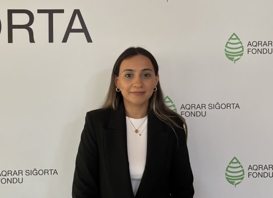ASF heyvandarlıq üzrə fermerlərə 800 min manat zərər ödənişi edib