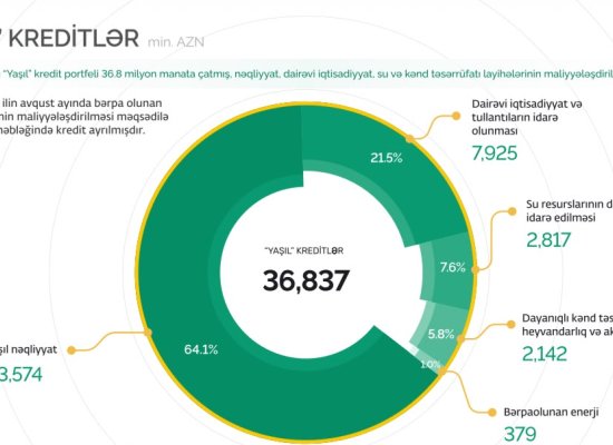 PAŞA Bankın &ldquo;yaşıl&rdquo; kredit portfeli 36,8 milyon manata çatıb