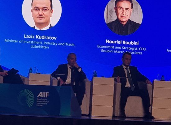 Azərbaycan kritik mineralların emalı üzrə regional inteqrasiya üzərində işləyir
