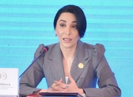МM утвердил повышение зарплаты омбудсмана до 12 тысяч манатов