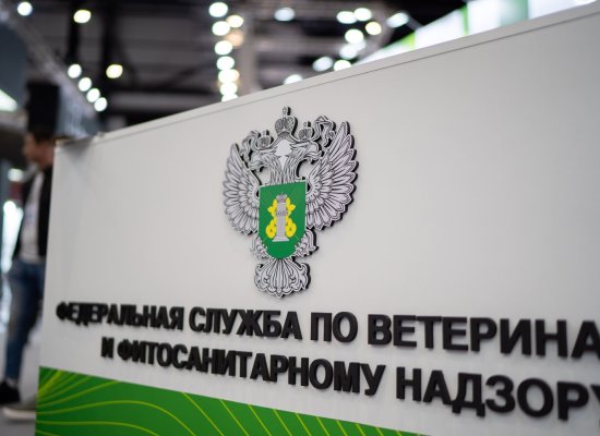 Russia seizes 230 kg of food on flights from Baku and Tashkent