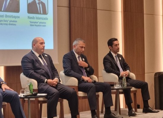 Over 24,000 hectares of arable land ready for farming in Aghdam, Fuzuli, and Khojavend