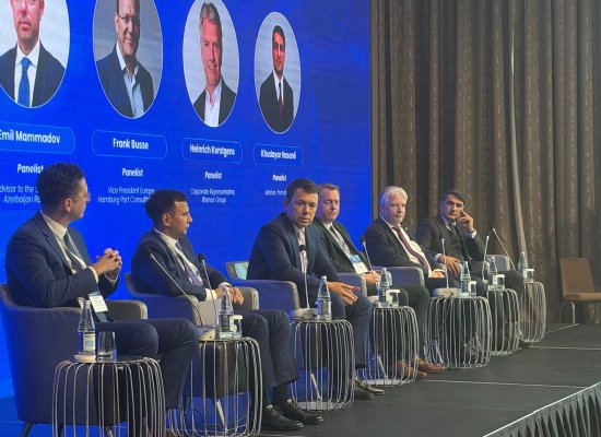 Middle Corridor infrastructure lags container growth, Baku port adviser says