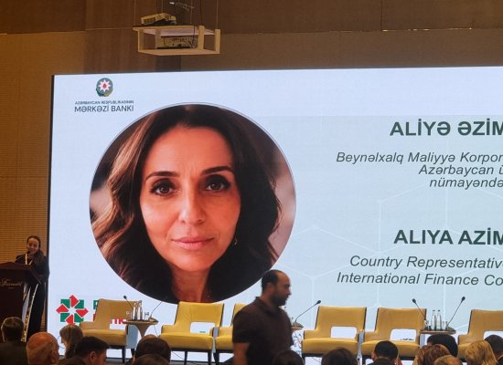IFC-nin maliyyə qurumları 2025-ci ildə mikro müəssisələrə 75,8 milyard dollarlıq kredit verib
