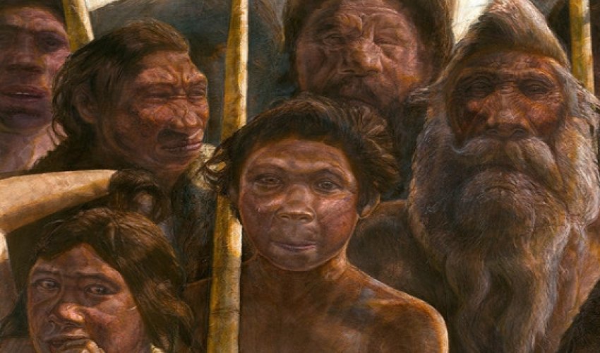 Ученые воссоздали старейшую человеческую ДНК Ученые воссоздали старейшую человеческую ДНК