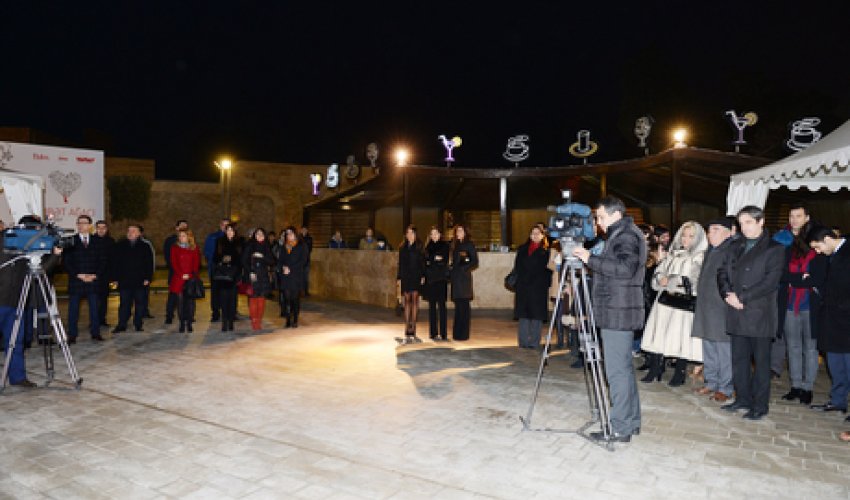 Bakıda “Məhəbbət ağacı” yetişdi - FOTOLAR