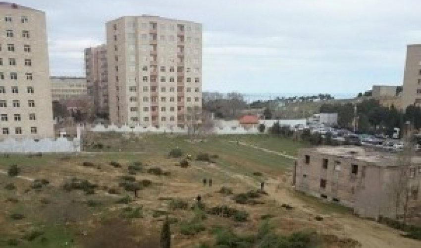 Botanika bağına cavabdeh kimdir? - VİDEO+FOTO Botanika bağına cavabdeh kimdir? - VİDEO+FOTO