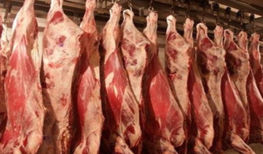 Azərbaycanda at və eşşək əti satmaq mümkün olmayacaq Azərbaycanda at və eşşək əti satmaq mümkün olmayacaq