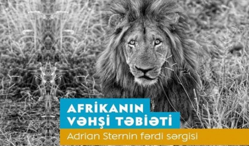 Bakıda tanınmış fotoqraf Adrian Sternin fərdi sərgisi açılacaq