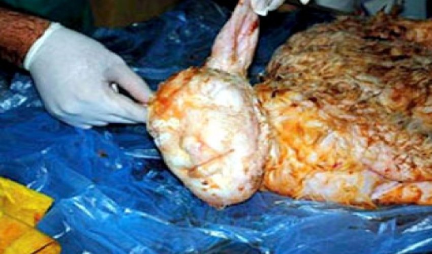 Shocking video shows vet displaying lamb born with a 'human face' - PHOTO+VIDEO Shocking video shows vet displaying lamb born with a 'human face' - PHOTO+VIDEO
