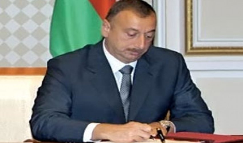 Афаг Месуд назначена директором Центра переводов при Кабмине