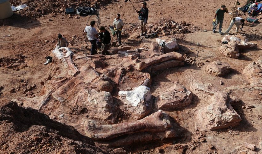 'Biggest dinosaur ever' discovered - PHOTO