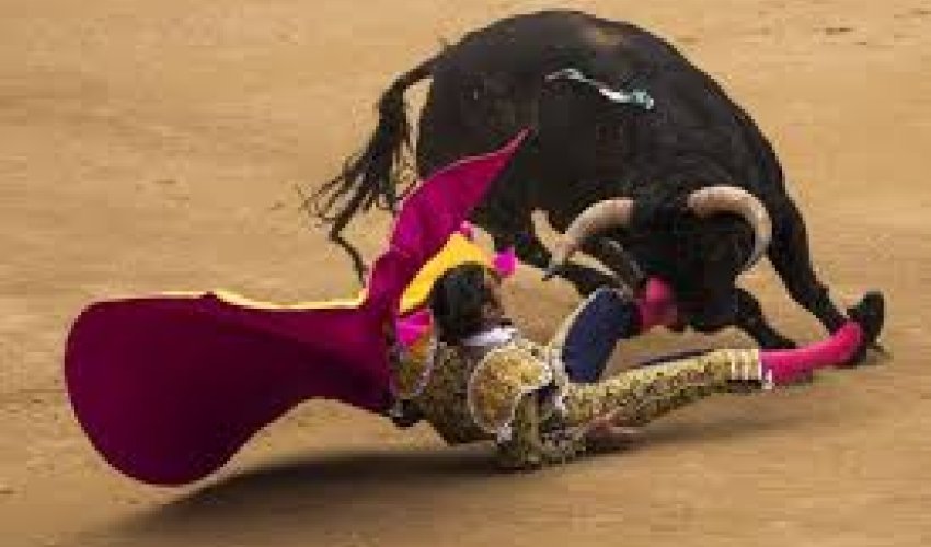 Madrid matadors gored by bulls at festival launch - PHOTO+VIDEO Madrid matadors gored by bulls at festival launch - PHOTO+VIDEO