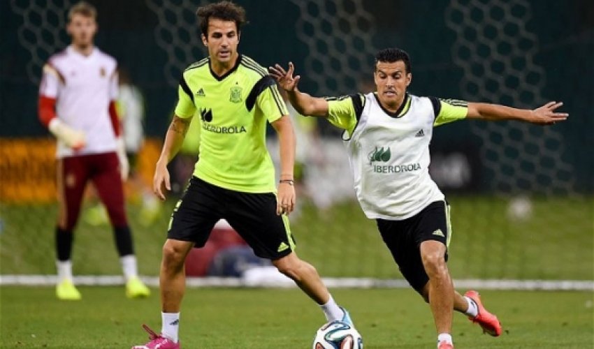 Chelsea begin negotiations with Cesc Fabregas