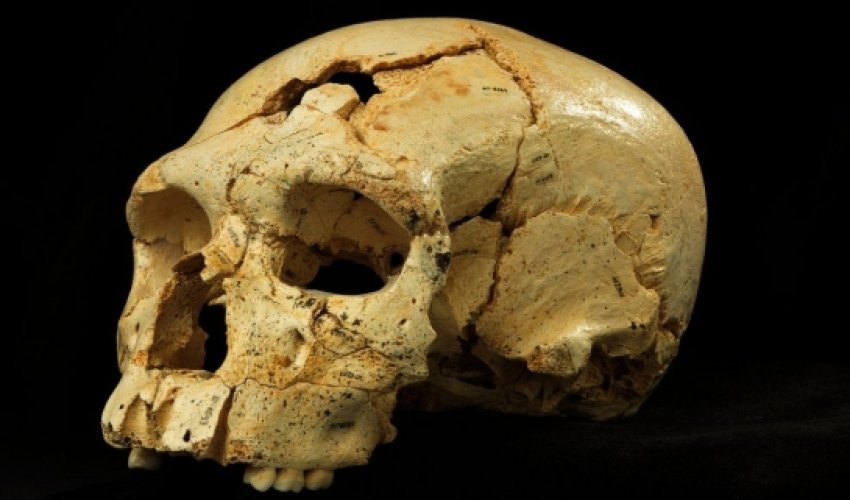 Bonanza of skulls in 'Pit of Bones' changes view of Neanderthals Bonanza of skulls in 'Pit of Bones' changes view of Neanderthals