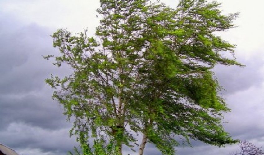 Baku weather forecast for June 24 Baku weather forecast for June 24