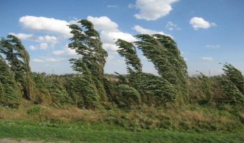 Baku weather forecast for June 25 Baku weather forecast for June 25