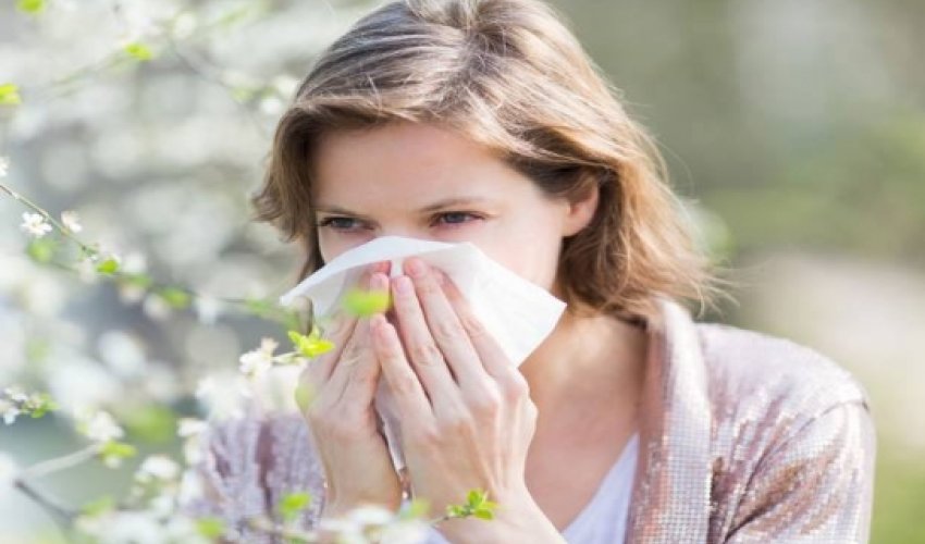 Driving with hay fever is as dangerous as drink-driving