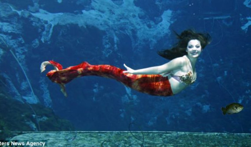 The real life LITTLE MERMAID - PHOTO The real life LITTLE MERMAID - PHOTO