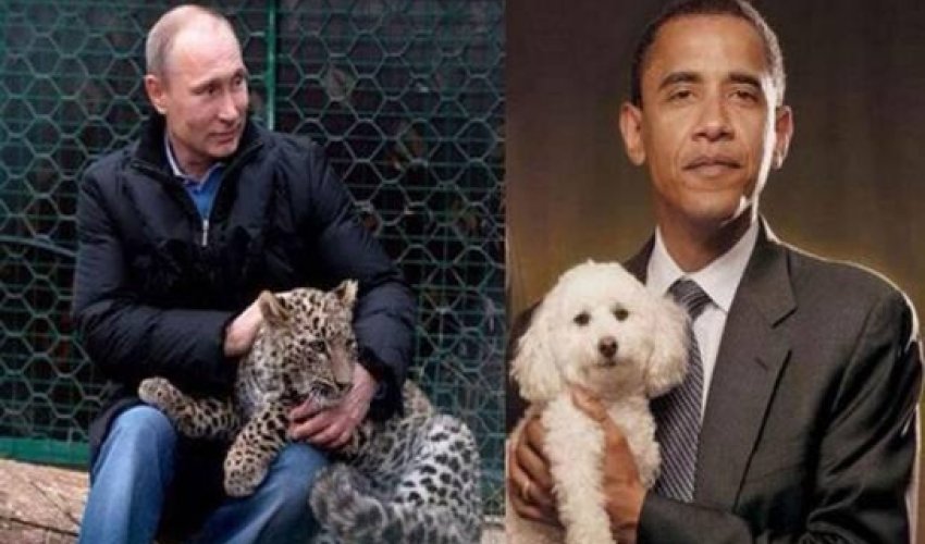 Deputy Russian PM decided to start hurling insults at Obama on Twitter Deputy Russian PM decided to start hurling insults at Obama on Twitter