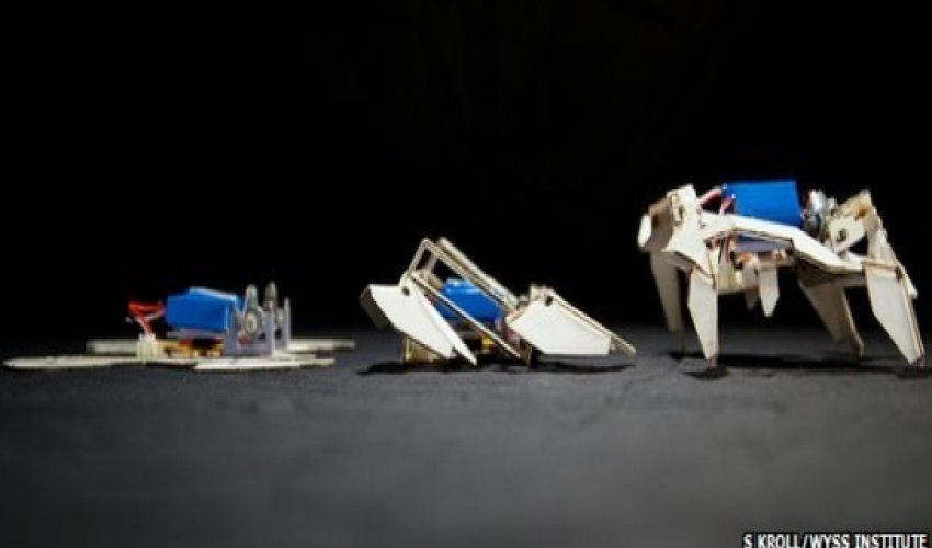 Robots inspired by origami fold themselves into motion