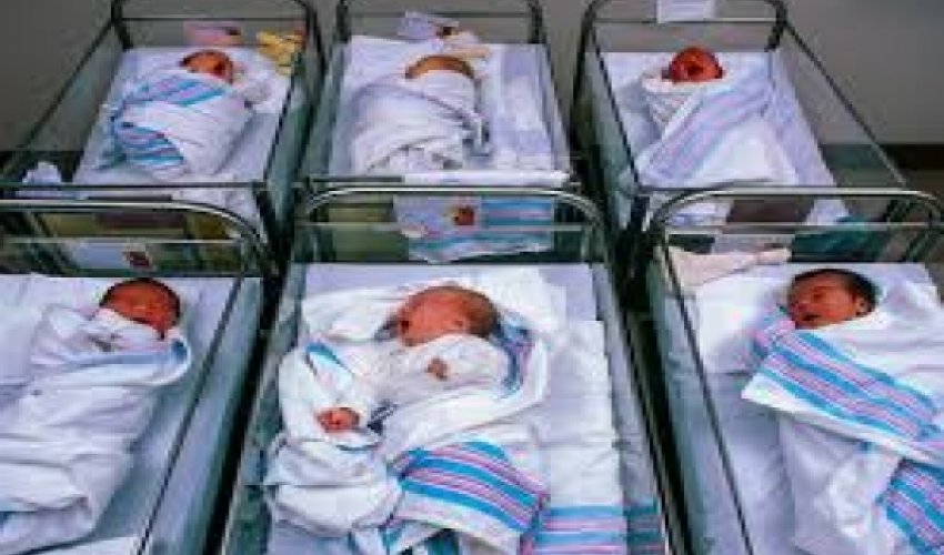 Azeri population to grow 1.3% a year in 2014-2018 Azeri population to grow 1.3% a year in 2014-2018