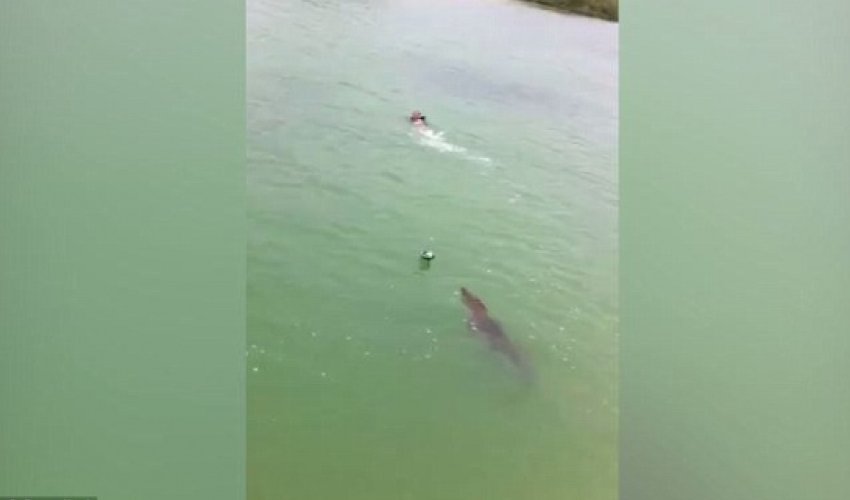 Boy fleeing in PANIC as a huge crocodile chases him - VIDEO Boy fleeing in PANIC as a huge crocodile chases him - VIDEO