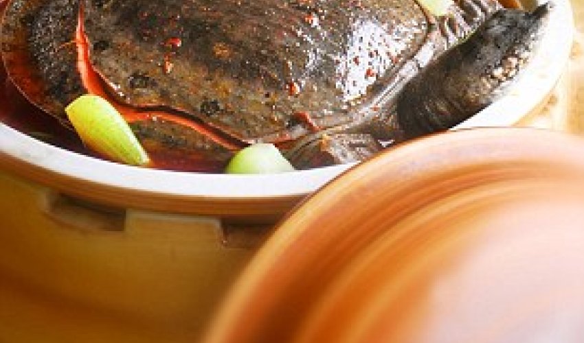 The most disgusting meal ever? - PHOTO+VIDEO The most disgusting meal ever? - PHOTO+VIDEO