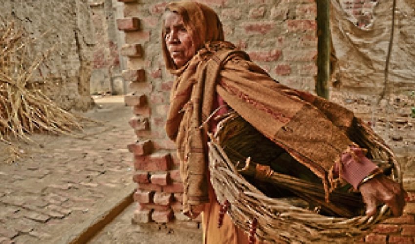 India: caste forced to clean human waste