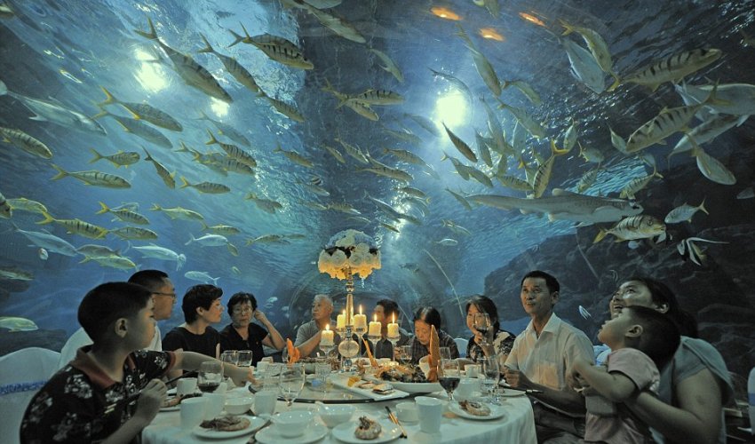 Aquarium visitors enjoy extraordinary dinner party - PHOTO