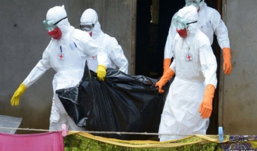 Ebola: How bad can it get?