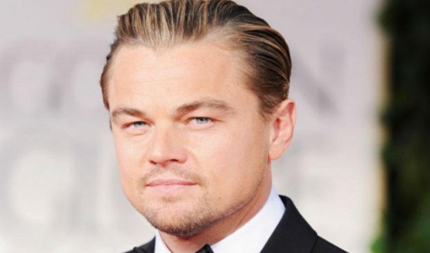 Leonardo DiCaprio has a new job at the United Nations...