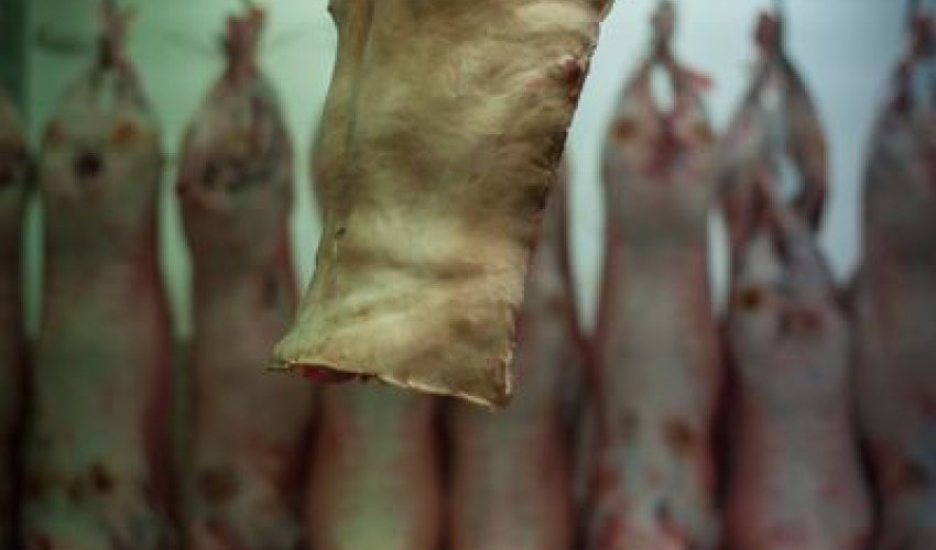 What does human meat taste like? - PHOTO What does human meat taste like? - PHOTO