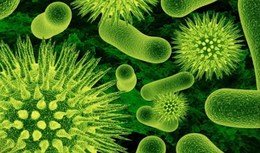 Daha bir ölkədə Ebola həyəcanı: fövqəladə vəziyyət elan edilib