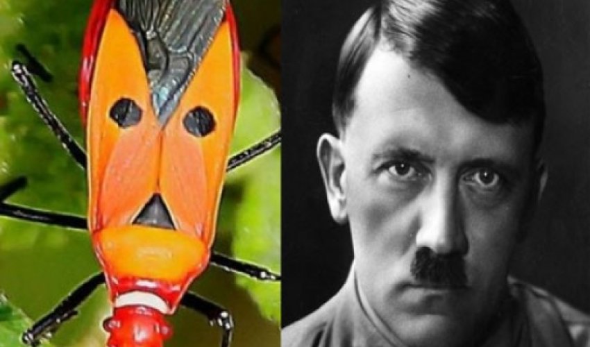 Hitlerin yeni bənzəri tapıldı - FOTOLAR Hitlerin yeni bənzəri tapıldı - FOTOLAR